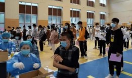 全关积木新品爆料视频,创意无限，童趣盎然！