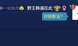 久诚爆料韩涵事件视频,揭秘背后真相与争议